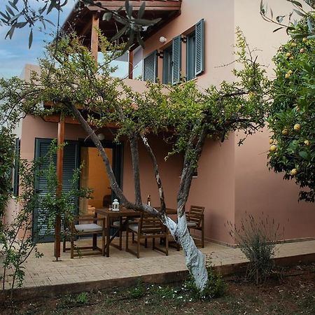 קאטו דרטסו Glarosmaisonette מראה חיצוני תמונה