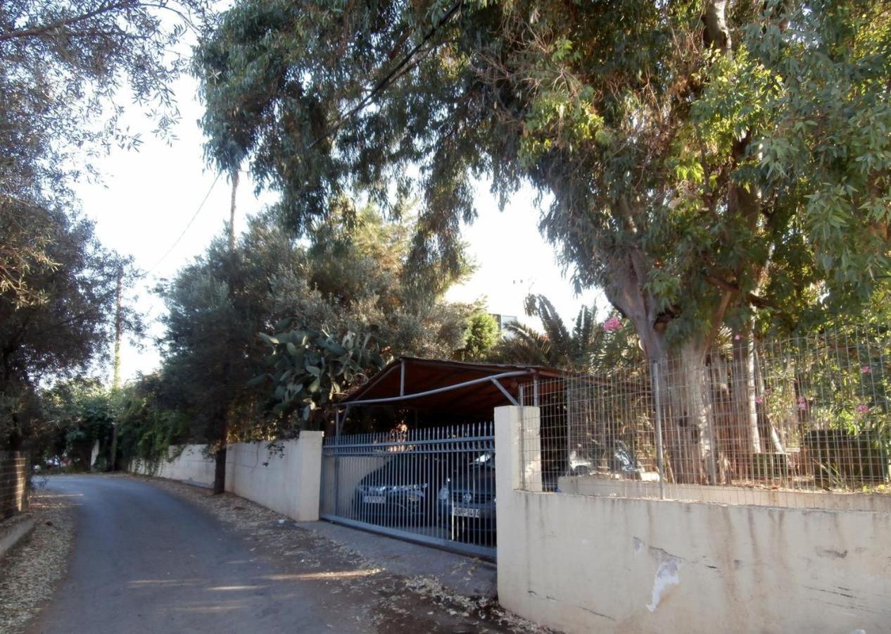 קאטו דרטסו Glarosmaisonette מראה חיצוני תמונה