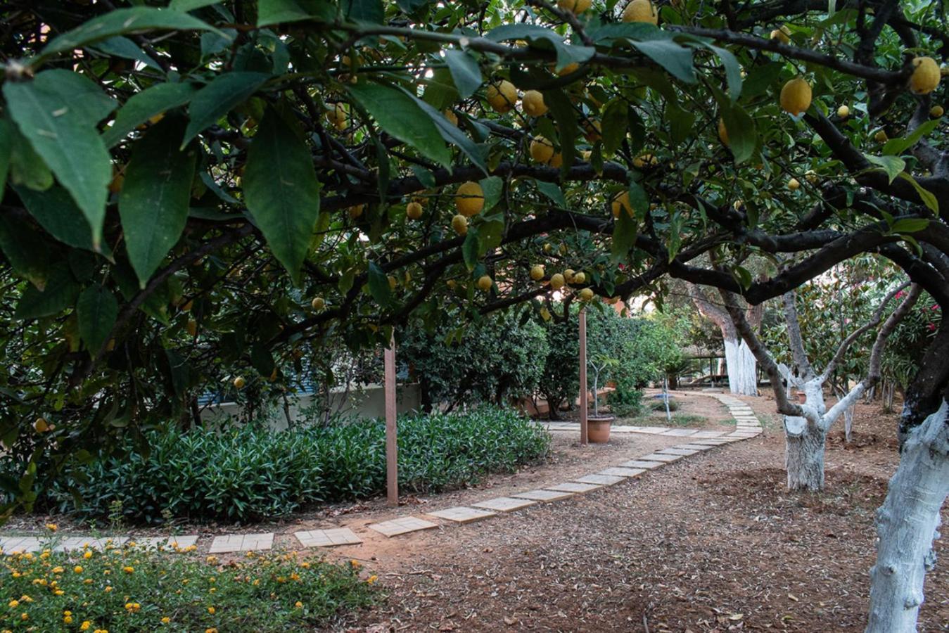 קאטו דרטסו Glarosmaisonette מראה חיצוני תמונה