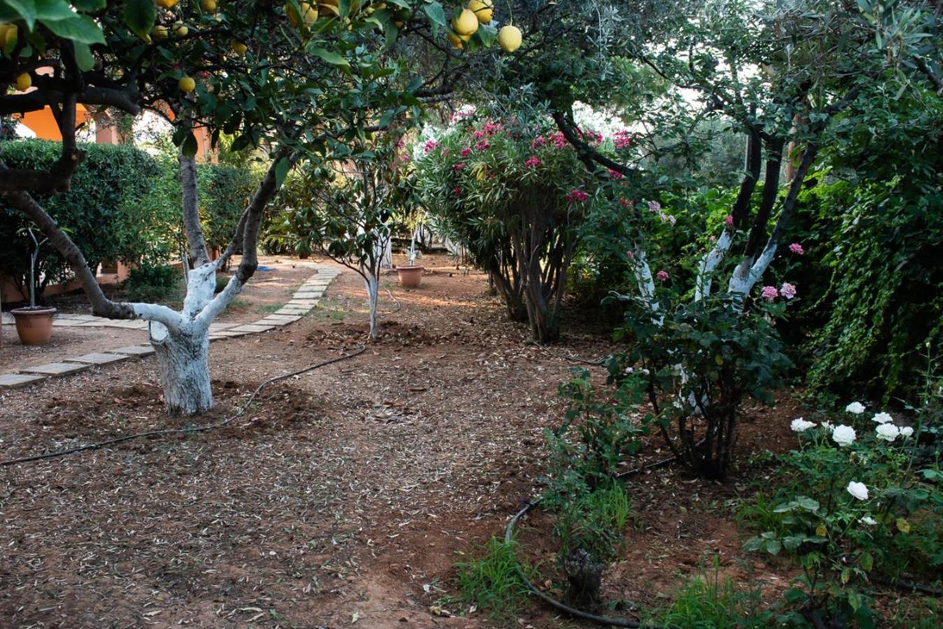קאטו דרטסו Glarosmaisonette מראה חיצוני תמונה